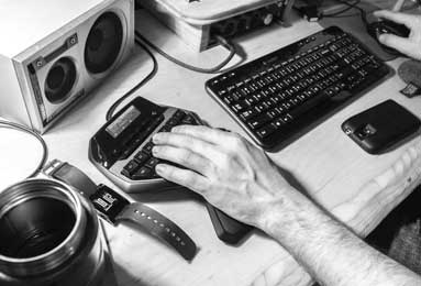 《园艺养成指南：狩猎丰收活动全新种子全收录》